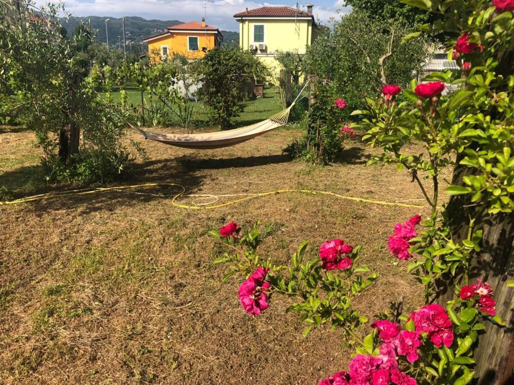 La Casa Di Ulivi Piano di Follo Exterior foto