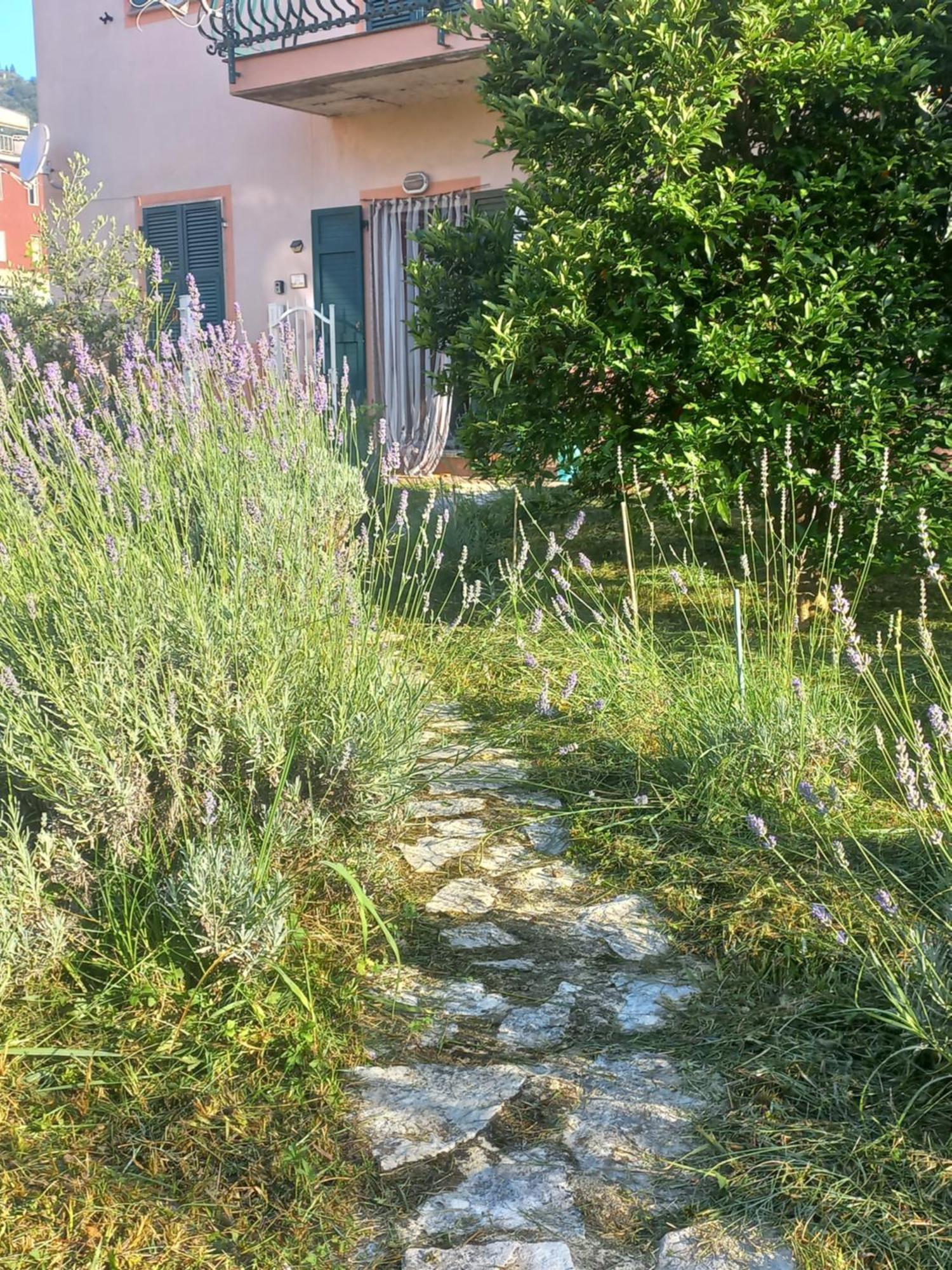 La Casa Di Ulivi Piano di Follo Exterior foto